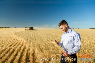 December 2019 / BARLEY_HARVEST_GERANIUM_191210_054
