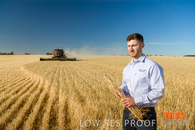 December 2019 / BARLEY_HARVEST_GERANIUM_191210_057