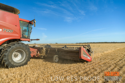 December 2019 / BARLEY_HARVEST_GERANIUM_191210_065