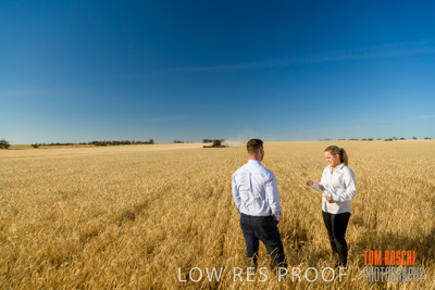 December 2019 / BARLEY_HARVEST_GERANIUM_191210_082