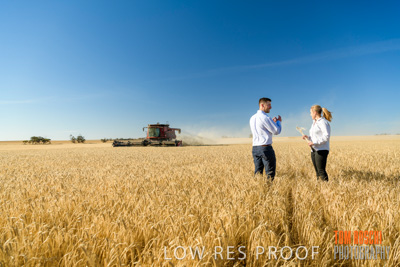 December 2019 / BARLEY_HARVEST_GERANIUM_191210_084