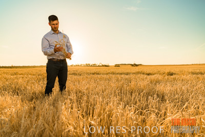 December 2019 / BARLEY_HARVEST_GERANIUM_191210_105
