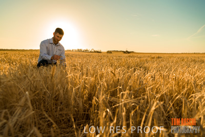 December 2019 / BARLEY_HARVEST_GERANIUM_191210_107