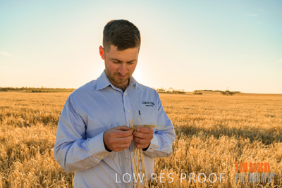December 2019 / BARLEY_HARVEST_GERANIUM_191210_115