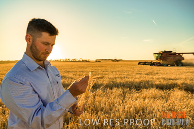 December 2019 / BARLEY_HARVEST_GERANIUM_191210_119