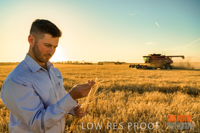 December 2019 / BARLEY_HARVEST_GERANIUM_191210_120