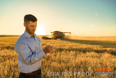 December 2019 / BARLEY_HARVEST_GERANIUM_191210_123