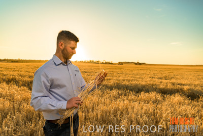 December 2019 / BARLEY_HARVEST_GERANIUM_191210_126