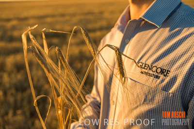 December 2019 / BARLEY_HARVEST_GERANIUM_191210_149