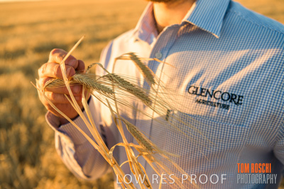 December 2019 / BARLEY_HARVEST_GERANIUM_191210_150
