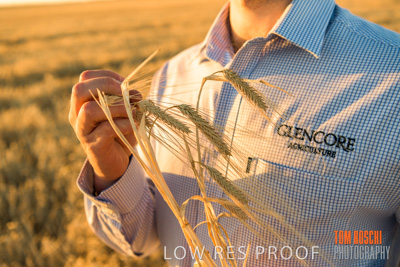 December 2019 / BARLEY_HARVEST_GERANIUM_191210_151