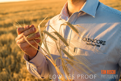 December 2019 / BARLEY_HARVEST_GERANIUM_191210_152