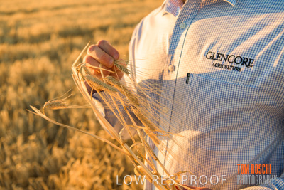 December 2019 / BARLEY_HARVEST_GERANIUM_191210_154