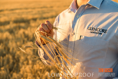 December 2019 / BARLEY_HARVEST_GERANIUM_191210_155