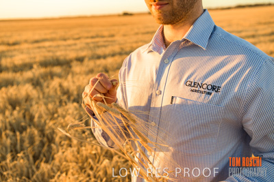 December 2019 / BARLEY_HARVEST_GERANIUM_191210_160