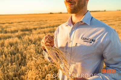 December 2019 / BARLEY_HARVEST_GERANIUM_191210_163