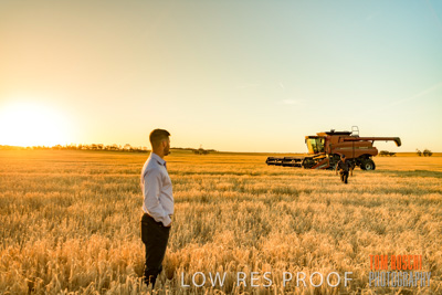 December 2019 / BARLEY_HARVEST_GERANIUM_191210_173
