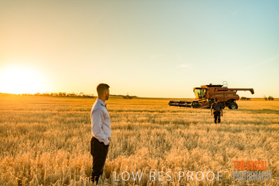 December 2019 / BARLEY_HARVEST_GERANIUM_191210_174