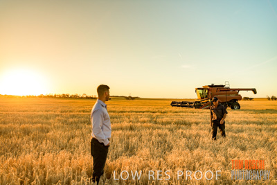 December 2019 / BARLEY_HARVEST_GERANIUM_191210_175