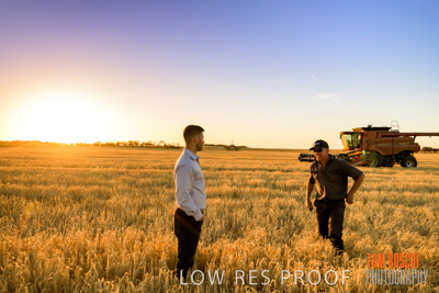 December 2019 / BARLEY_HARVEST_GERANIUM_191210_178