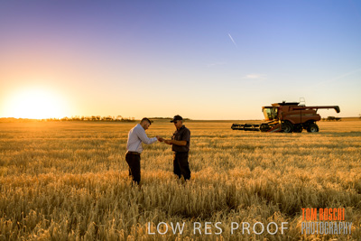 December 2019 / BARLEY_HARVEST_GERANIUM_191210_183