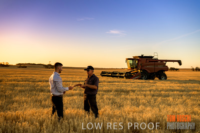 December 2019 / BARLEY_HARVEST_GERANIUM_191210_186