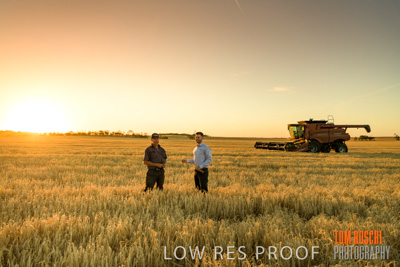 December 2019 / BARLEY_HARVEST_GERANIUM_191210_191