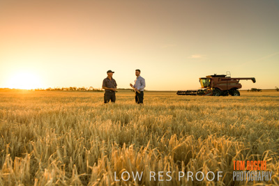 December 2019 / BARLEY_HARVEST_GERANIUM_191210_194