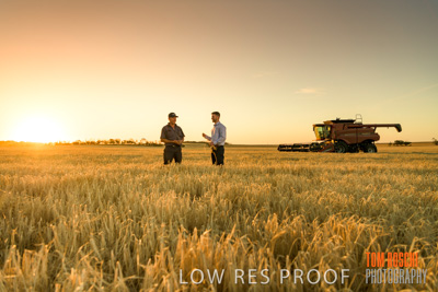 December 2019 / BARLEY_HARVEST_GERANIUM_191210_195