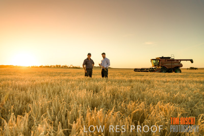 December 2019 / BARLEY_HARVEST_GERANIUM_191210_198