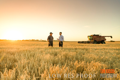 December 2019 / BARLEY_HARVEST_GERANIUM_191210_200