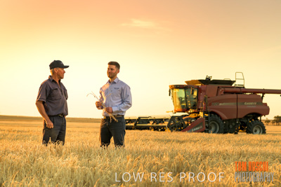 December 2019 / BARLEY_HARVEST_GERANIUM_191210_203