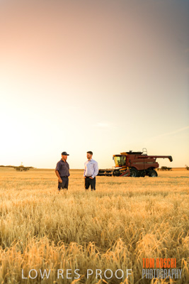 December 2019 / BARLEY_HARVEST_GERANIUM_191210_213