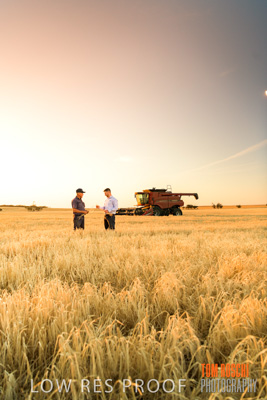 December 2019 / BARLEY_HARVEST_GERANIUM_191210_218