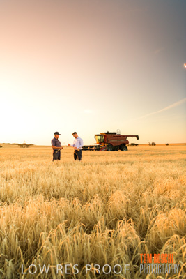 December 2019 / BARLEY_HARVEST_GERANIUM_191210_219