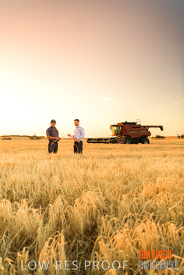 December 2019 / BARLEY_HARVEST_GERANIUM_191210_220