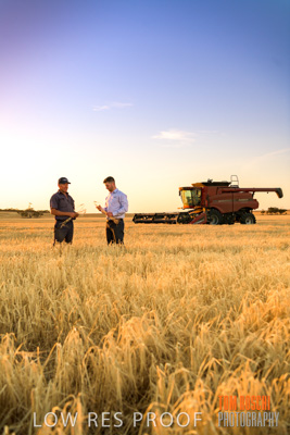 December 2019 / BARLEY_HARVEST_GERANIUM_191210_221