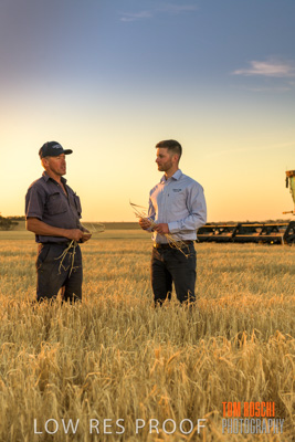 December 2019 / BARLEY_HARVEST_GERANIUM_191210_225