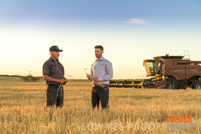 December 2019 / BARLEY_HARVEST_GERANIUM_191210_227