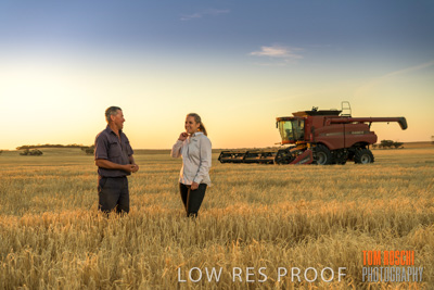 December 2019 / BARLEY_HARVEST_GERANIUM_191210_230