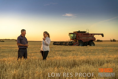 December 2019 / BARLEY_HARVEST_GERANIUM_191210_233