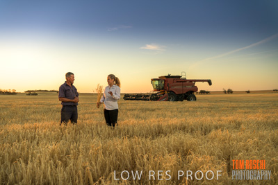 December 2019 / BARLEY_HARVEST_GERANIUM_191210_234