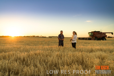 December 2019 / BARLEY_HARVEST_GERANIUM_191210_235