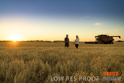 December 2019 / BARLEY_HARVEST_GERANIUM_191210_239