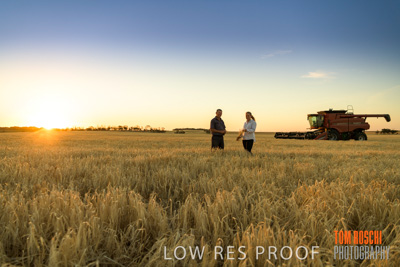 December 2019 / BARLEY_HARVEST_GERANIUM_191210_241