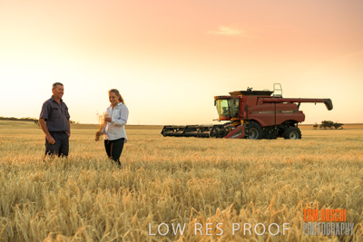December 2019 / BARLEY_HARVEST_GERANIUM_191210_246