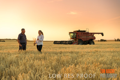 December 2019 / BARLEY_HARVEST_GERANIUM_191210_247