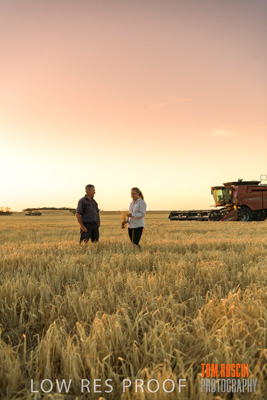 December 2019 / BARLEY_HARVEST_GERANIUM_191210_249