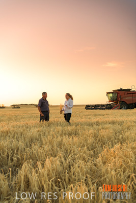 December 2019 / BARLEY_HARVEST_GERANIUM_191210_250