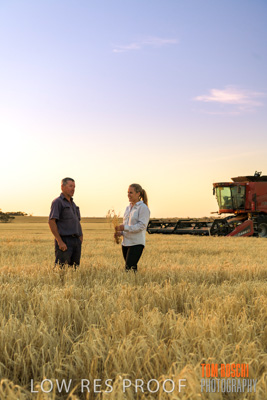 December 2019 / BARLEY_HARVEST_GERANIUM_191210_255